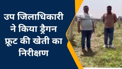 सोनभद्र: एसडीएम ने ड्रैगन फ्रूट की खेती का किया निरीक्षण, जानें कैसे हो रहा लाखों का फायदा
