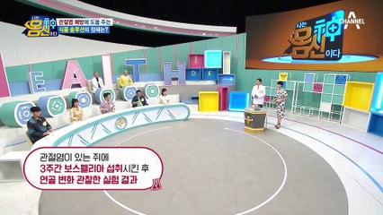 관절염 막는 음식 솔루션! '보스웰리아 차' 한 잔으로 내 무릎 튼튼하게♥