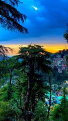Mecleodganj Dharamshala | Dharamshala Guide