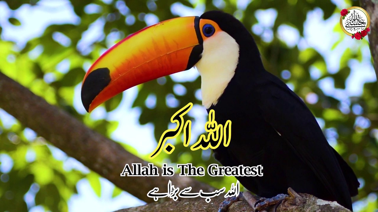 AllahuAkbar 300 Times I Allahu Akbar Wazifa I Allahu Akbar Zikr | Hasbi Allah #zikr #dua #wazifa
