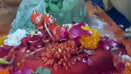 हनुमान जयंती विशेष: बाल हनुमान की झलक पाने उमड़े भक्त, सुबह से रात तक लगी रही कतार, देखें वीडियो