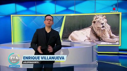 Rescatan a 47 animales durante un cateo en Huixquilucan, Edoméx