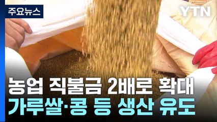 농업 직불금 5조 확대...가루쌀·콩 등으로 생산 유도 / YTN