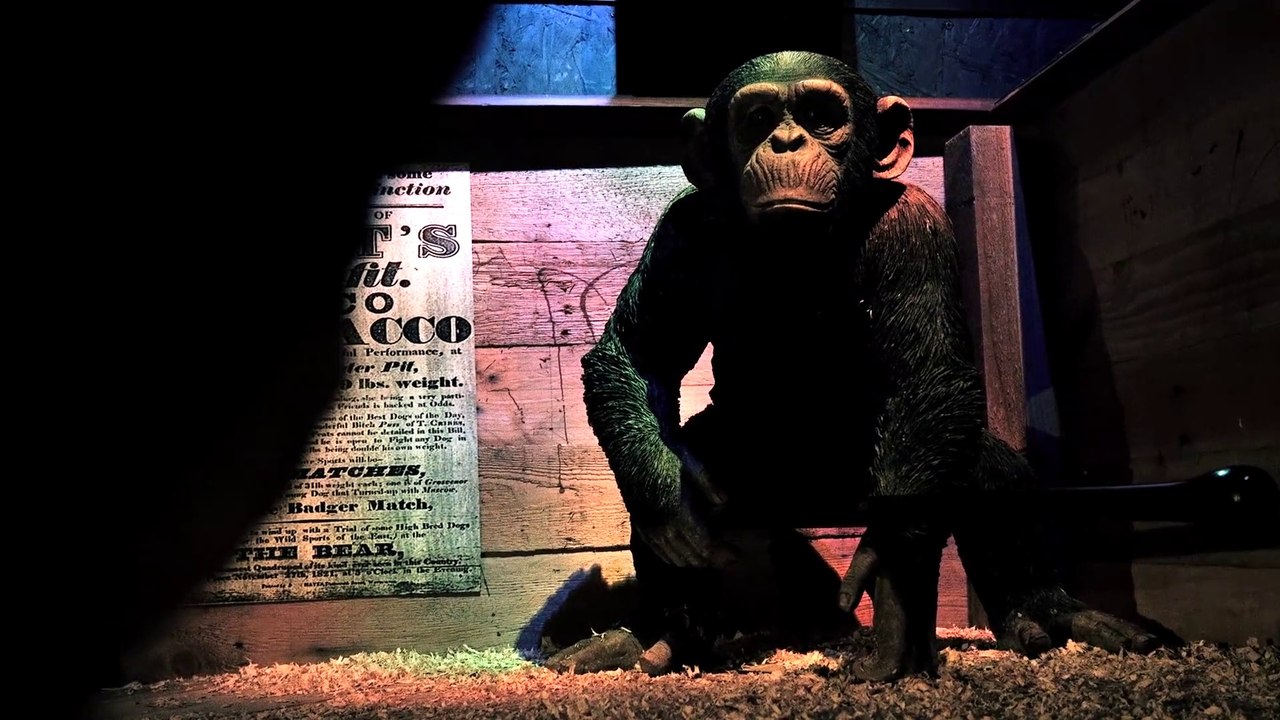 The True Crime Museum in Hastings, East Sussex #1: Jacco Macacco - The Killer Monkey