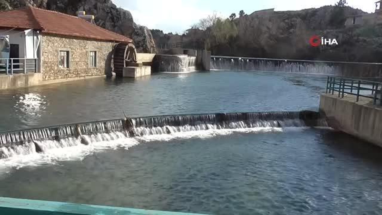 Leylekler Vadisi ve Leylekler Tepesi sakinleri yuvalarını doldurdu