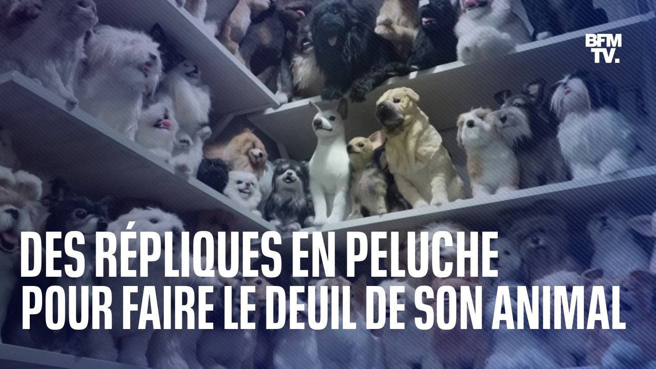 Elles ont fait reproduire leur chien en peluche pour apaiser le deuil de leur animal