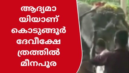 കൊടുങ്ങൂർ ദേവി ക്ഷേത്രത്തിലെ പെൺപൂരം