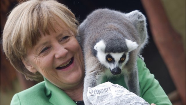 Weder Hund noch Katze: Angela Merkel liebt dieses ungewöhnliche Tier
