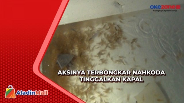 Bea Cukai Batam Gagalkan Penyelundupan Baby Lobster Senilai Rp9 Miliar
