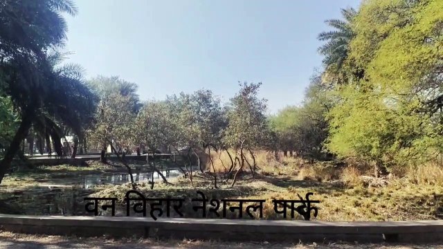 वन विहार में पहली बार विदेशी कछुओं की ब्रीडिंग, तस्करी में पकड़े गए 5 कछुओं से बढ़ेगी संख्या