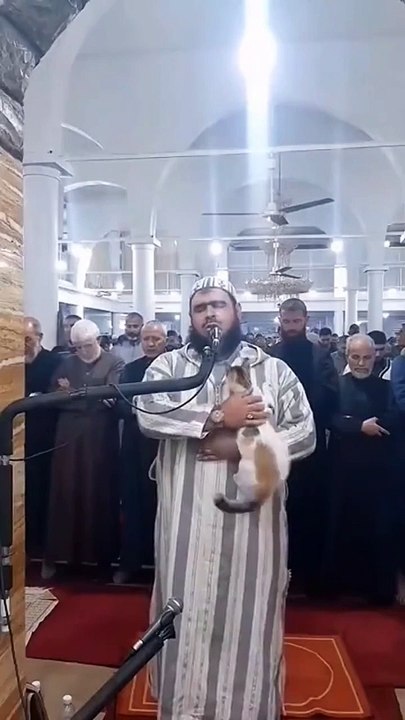 Un petit chat très religieux... et un disciple imperturbable