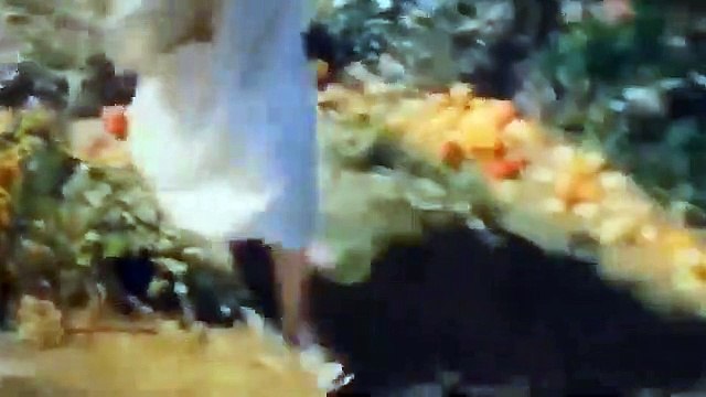 #True Story of the Prophet Lut and qaum e loot ka anjaam حضرت لوط علیہ السلام کی