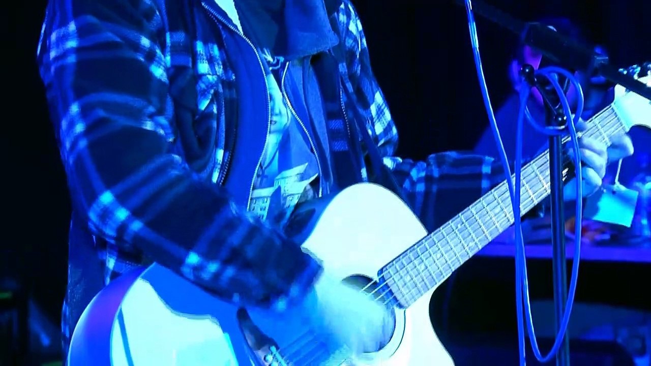Cat food + As you were (Sonar TV)