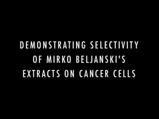 Selectivity of Beljanski's Extracts