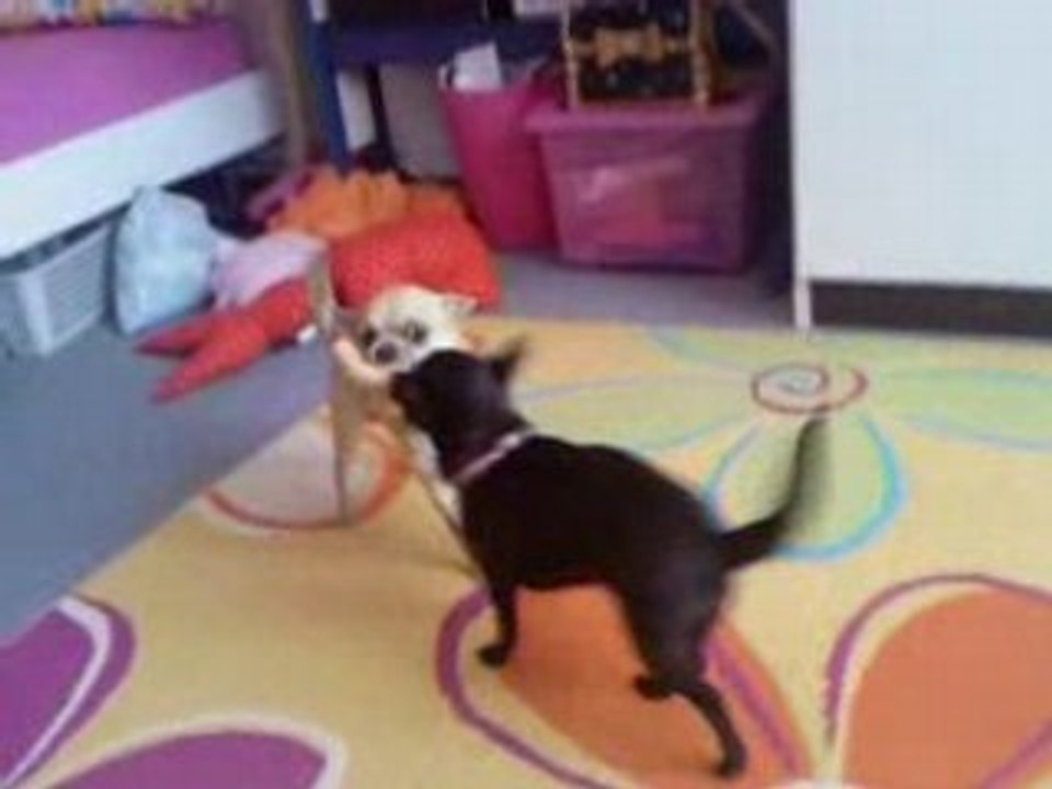 BELLAGIO ET CALICE - JEU DE FORCE