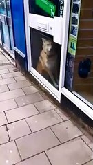 So will never be shopping here