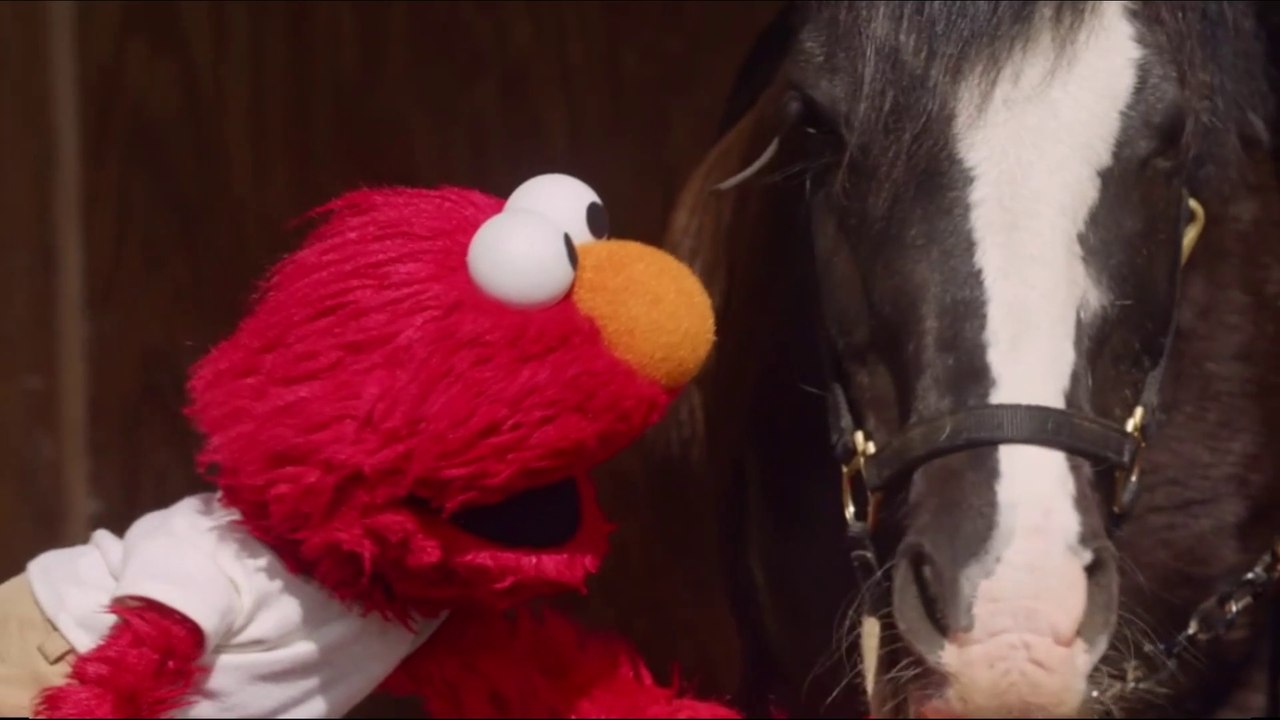 Sesame Street: Horsing Around.