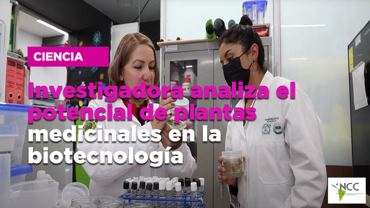 Investigadora analiza el potencial de plantas medicinales en la biotecnología