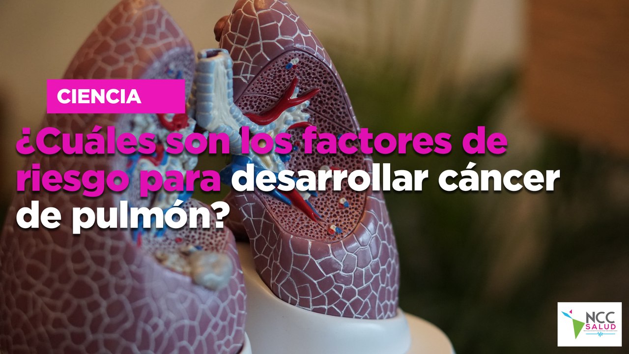 ¿Cuáles son los factores de riesgo para desarrollar cáncer de pulmón?