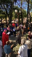 Tải video: Domingo de Ramos - Parroquia Catedral San Fructuoso, Tacuarembó, Uruguay (01042023)