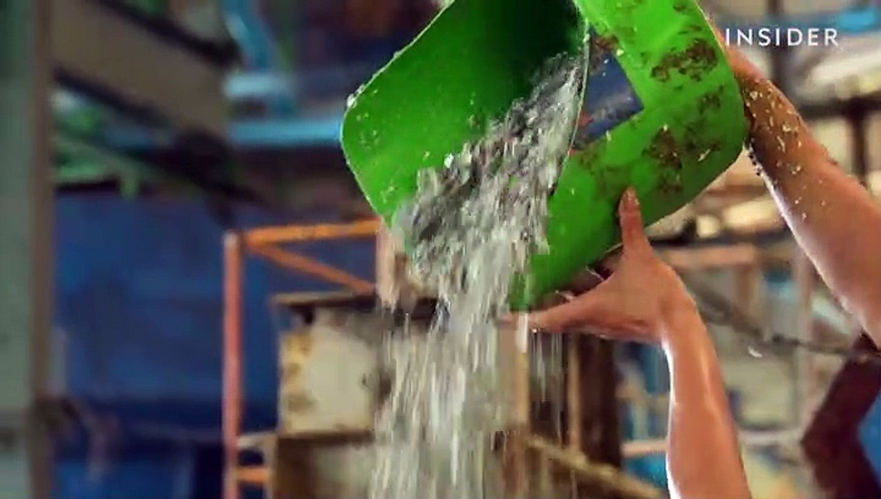 10 surprising things you can recycle, from flip...
