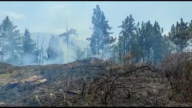 Brigadas y bomberos trabajan contra incendio en reserva forestal de Panamá