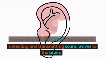 DEFINE EAR AND IT'S STRUCTURE WITH FUNCTION OF EAR