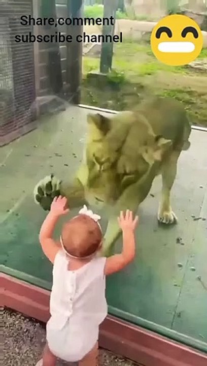 cute baby| Lion and baby