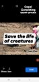 SAVE THE LIFE OF CREATURES