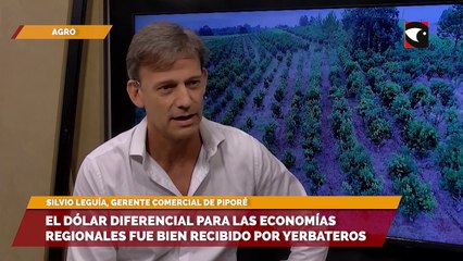 El dólar diferencial para las economías regionales fue bien recibido por empresarios yerbateros