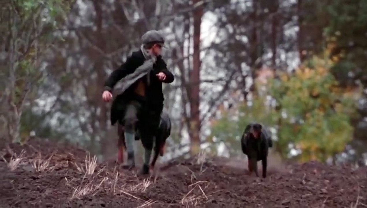 Le Roi des Aulnes Bande-annonce (DE)