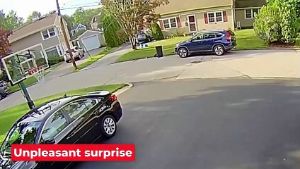 تم التقاطها على الكاميرا في المرتبة الأولى من بين كل مليون لحظات طريق 3