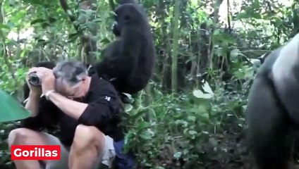 1 من 1،000،000 لحظات حيوانية تم التقاطها على الكاميرا (4)