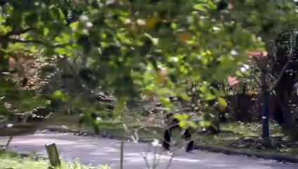 R3n Sh3ng Zhi Lu EP31 Eng Sub