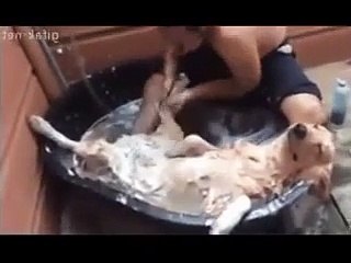 Funny animals - funniest new clips