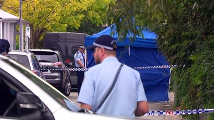 Police shoot dead man after alleged attack on officers