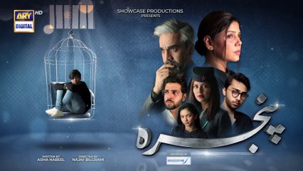 Pinjra -Last Episode 28 - 6th April 2023 - ARY Digital