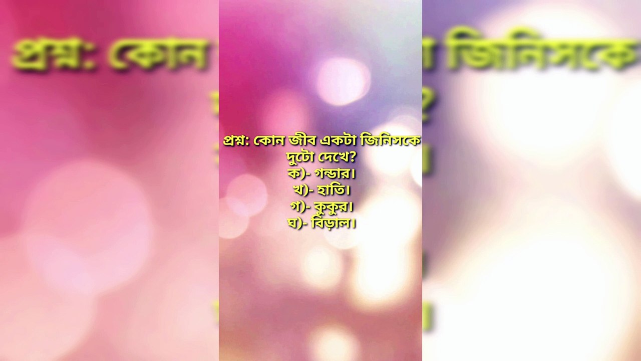 মানুষের পরে সবচেয়ে বুদ্ধিমান প্রাণী কোনটি? Learning Time BD