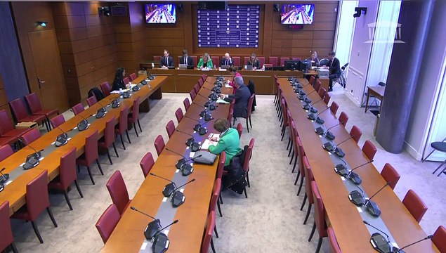 Révélations des Uber Files : Auditions diverses - Jeudi 6 avril 2023