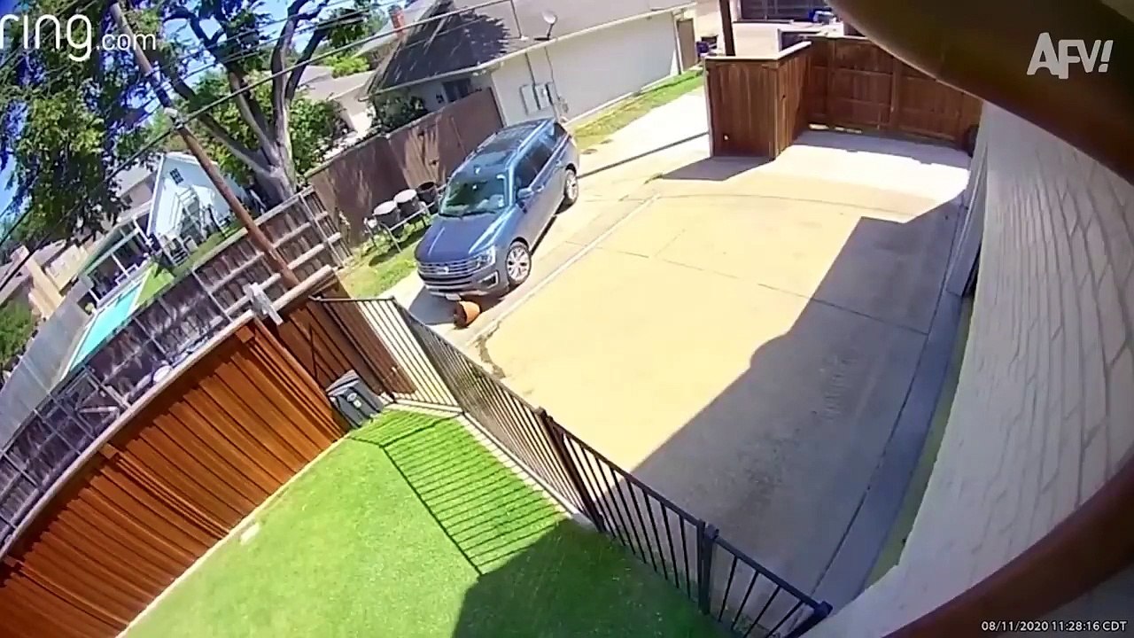 These FUNNY Driving Fails Will FUEL Your Laughter!!   Funny Videos Compilation - AFV 2023