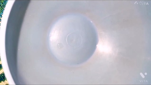 Face Whitening Home Remedy | Skin Brightening Home Remedy | Repair Damaged Skin | way of skin white