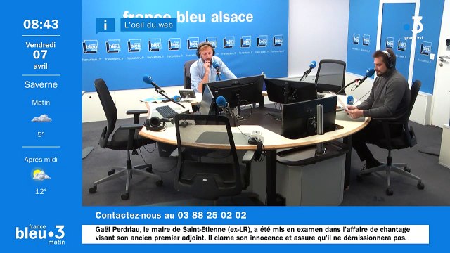 Les Fleurs et Plantes d'Alsace