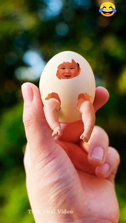 Egg 