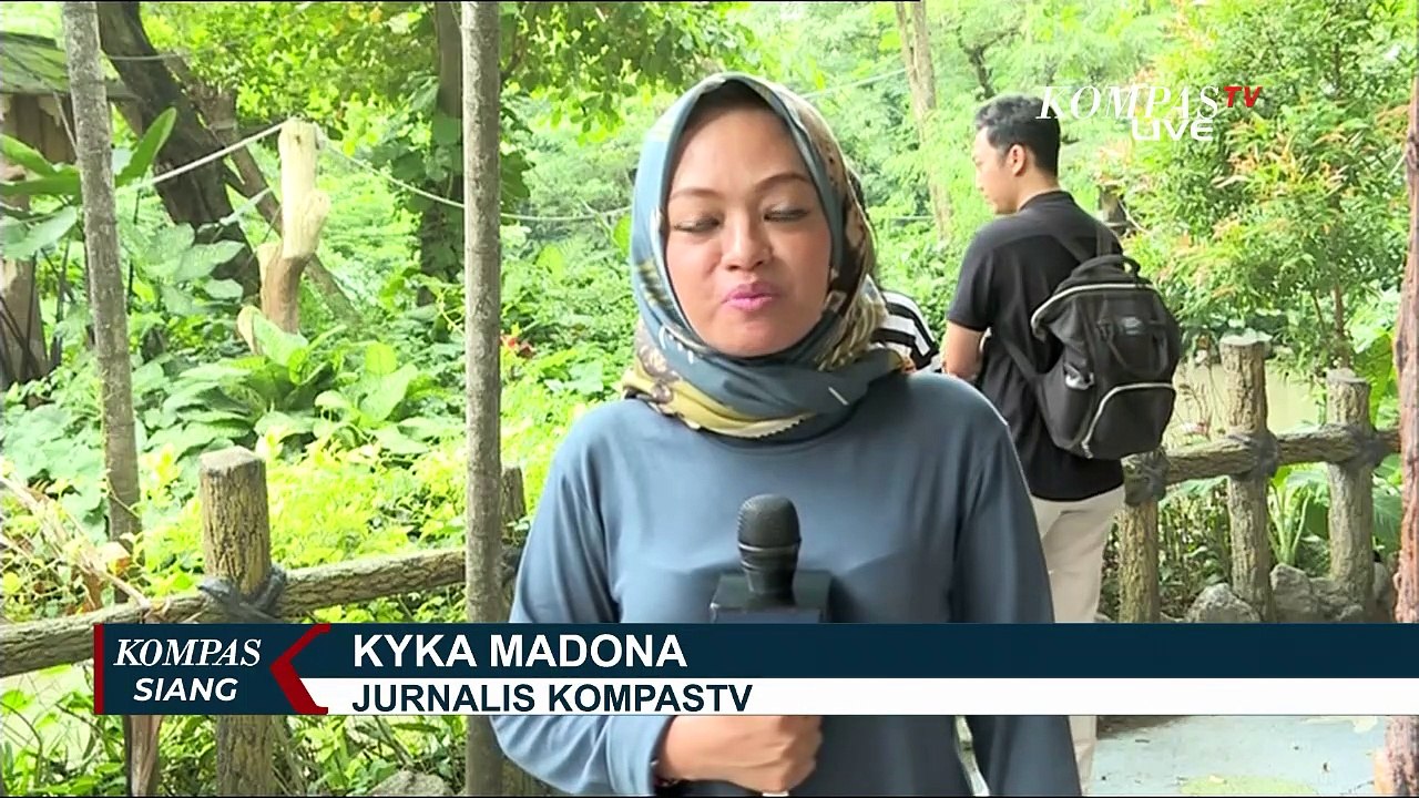 Kebun Binatang Surabaya Tambah Koleksi Satwa, A...