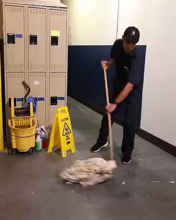 Mop Dog. _dogsofinstagram(MP4)