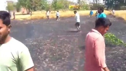 देवरिया: अज्ञात कारणों से गेहूं की खड़ी फसल में लगी आग, डेढ़ एकड़ फसल जलकर हुई खाक
