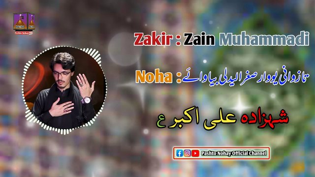 Zakir Zain Muhammadi New Pashto Nohay 2023-2024 | Pashto New Noha 2024 | New Pashto Nohay Album 2024