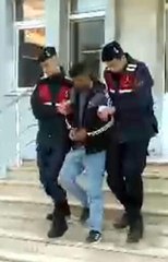 ARI KOVANI VE SAKSILARDA KENEVİR YETİŞTİREN ŞÜPHELİ, TUTUKLADI