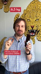 Comment fabrique-t-on le chocolat ?