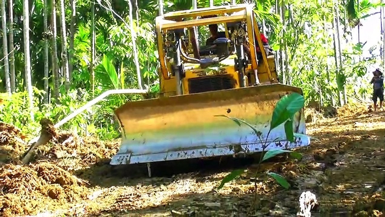 Bulldozers in Action: Building Roads in Areca Palm Plantations